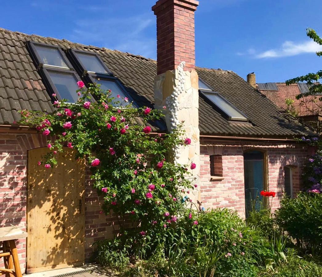 Boutique Hotel Shambala Zeitlos Wiedemar Luaran gambar